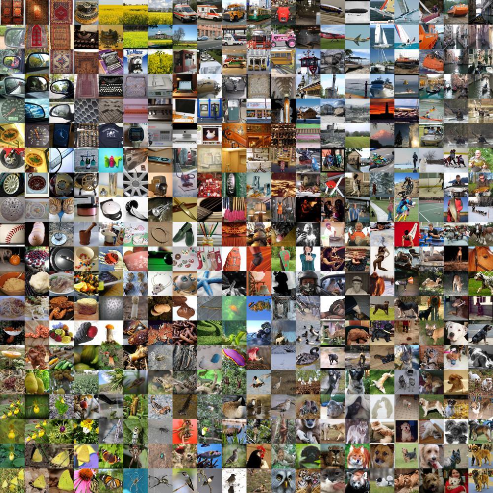 Sample images from Imagenet.